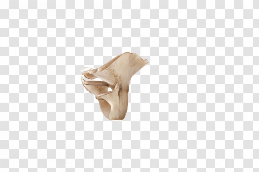 Joint Beige - Ear - A High-definition Image Of Fresh Mushroom Transparent PNG