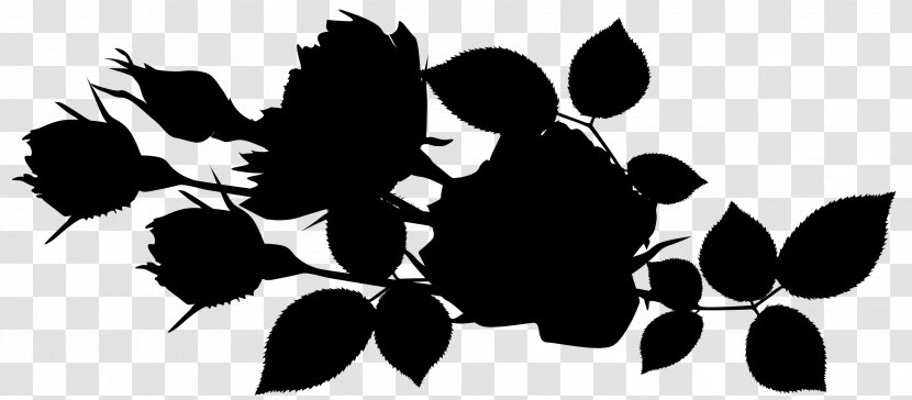 Flowering Plant Font Silhouette Pattern - Flower - Branching Transparent PNG