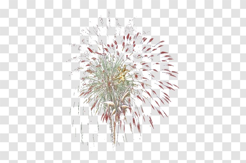 Fireworks PhotoFiltre Clip Art - Yandex Search Transparent PNG