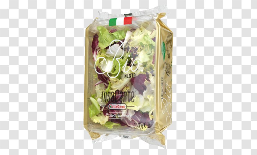 Salad Sugarloaf Chicory Endive Radicchio Rosso Di Treviso Lunch - Petal Transparent PNG