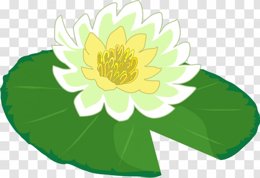 Water Lily Frog Clip Art - Flora - Pad Transparent PNG