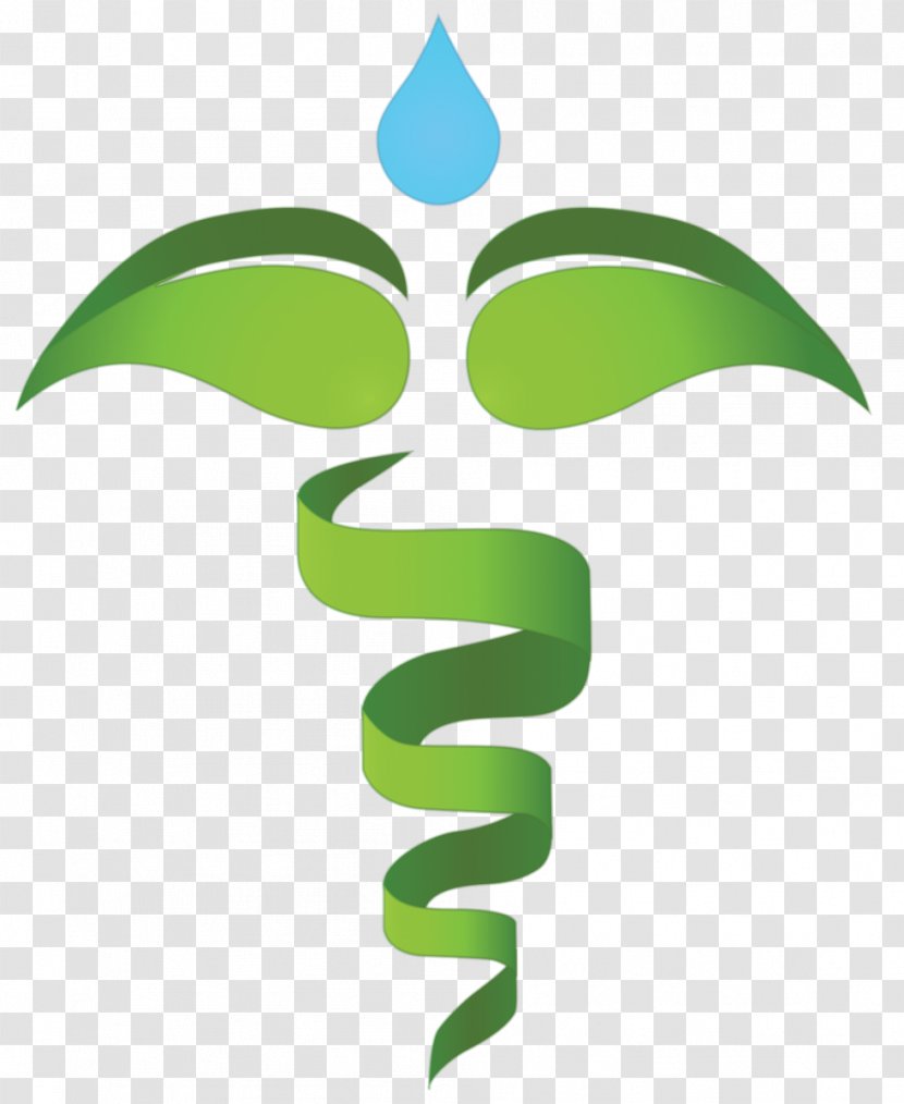 Alternative Health Services Medicine Whole Health: A Holistic Approach To Healing For The 21st Century Medissage - Mark Mincolla - Kamehameha Massage LLC AyurvedaMedical Alert Symbol Colors Transparent PNG