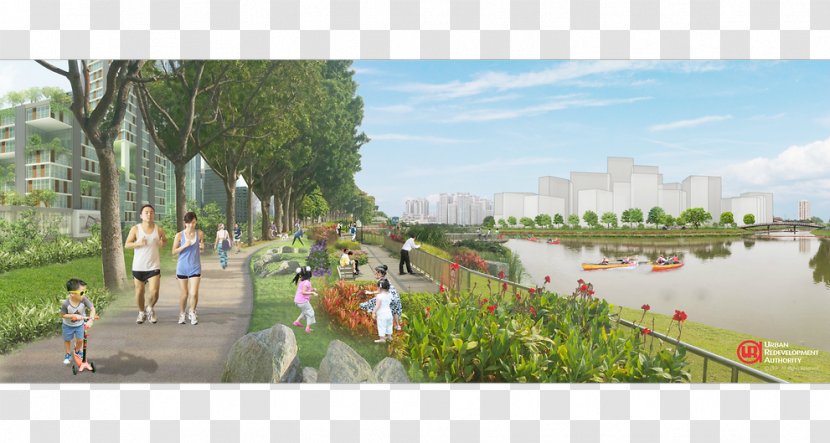 Kallang Riverside Park Bishan-Ang Mo Kio Singapore River Rejuvenation - Urban Transparent PNG