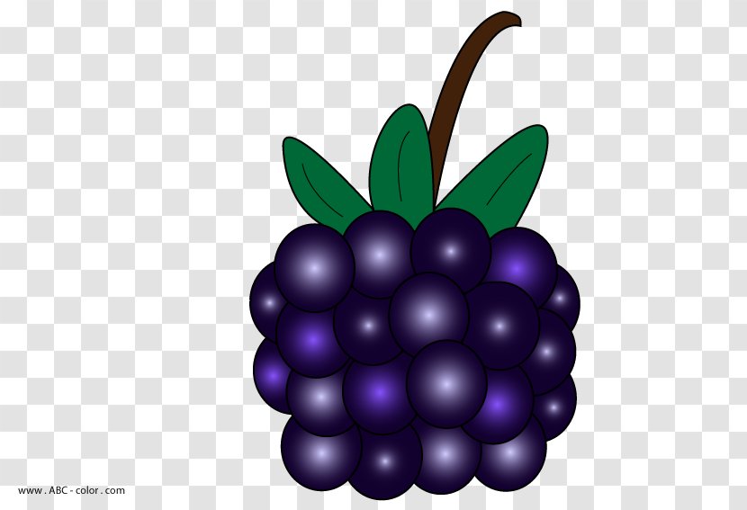 Blackberry Pie Clip Art - Dewberry Transparent PNG