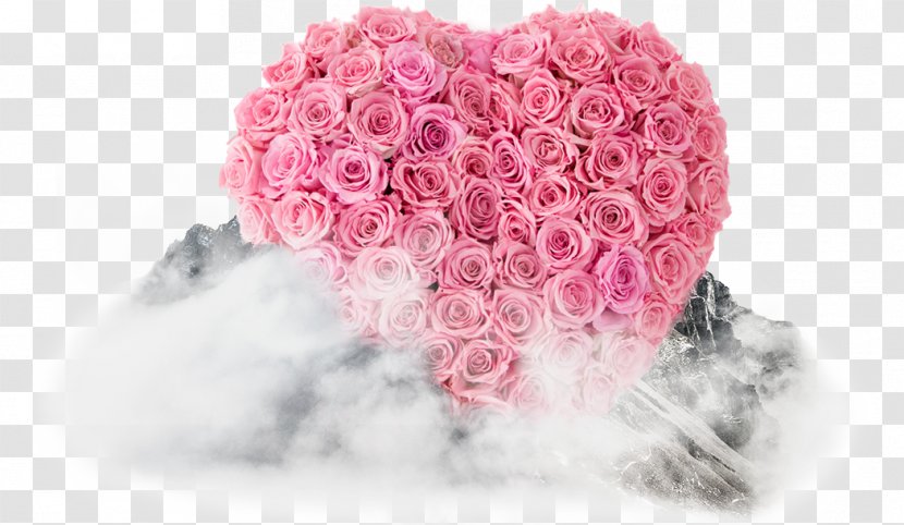 Garden Roses Cut Flowers Heart - Rose Order - Payment Inquiries Transparent PNG