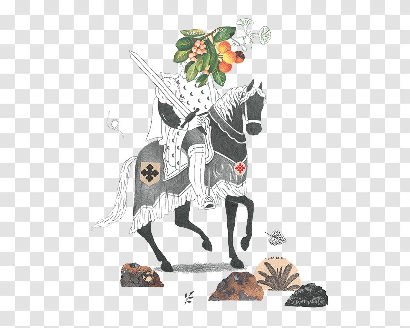 Don Quixote Face Illustration - Begonia Fruit Knight FIG Transparent PNG