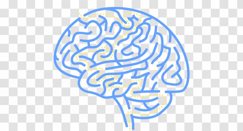 Getting Inside Your Head: What Cognitive Science Can Tell Us About Popular Culture Brain American Foundation For Suicide Prevention Presents Out Of The Darkness Dallas Community Walk - Cartoon - Maze Transparent PNG