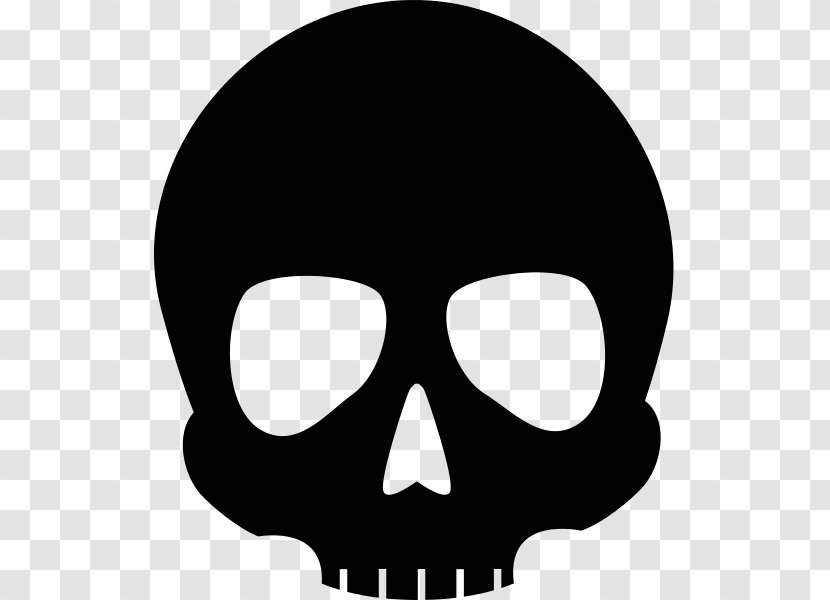 Skull - Jaw - Drawing Transparent PNG