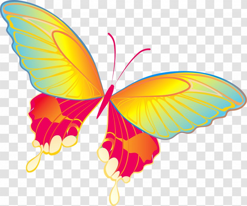 Butterfly Download Clip Art - Petal Transparent PNG