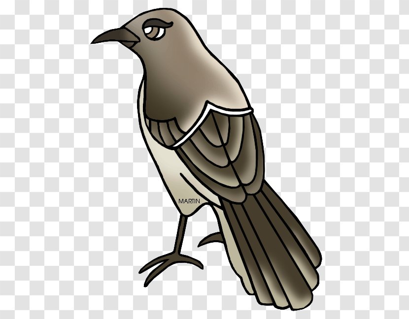 Feather Beak Tail Clip Art - Crow Transparent PNG