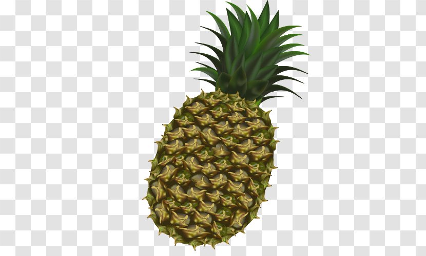 Tropical Fruit Pineapple Kiwifruit - Cartoon Transparent PNG