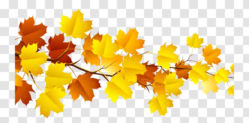 Autumn Leaf Color Clip Art - Fall Season Transparent PNG