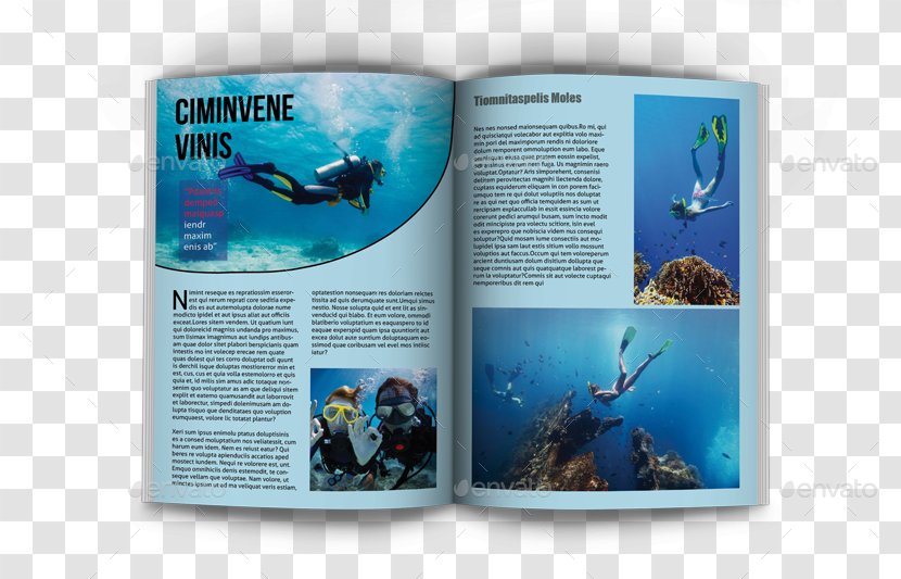 Magazine Tourism Marine Biology Page Layout Mammal - Lapel Pin - Travel Billboard Template Transparent PNG