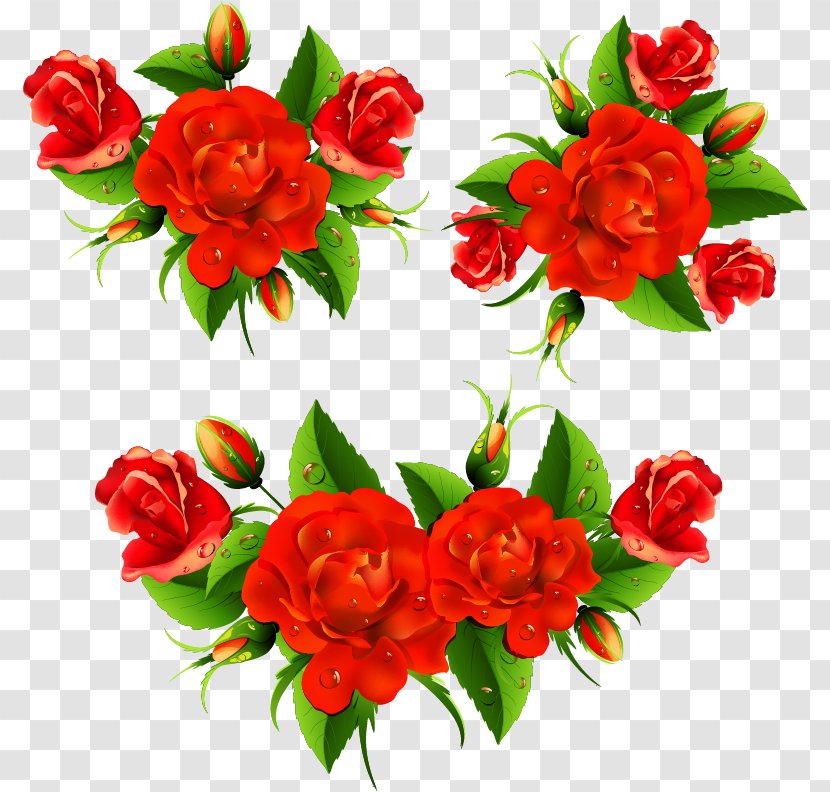 Wish Morning Greeting & Note Cards Eid Mubarak - Garden Roses - Happiness Transparent PNG