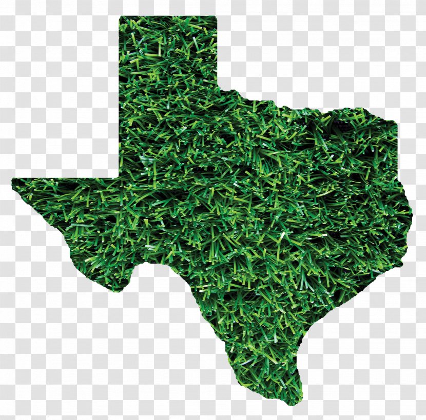 Austin Sprinturf, LLC Company Public Utility Commission Of Texas Service - Architectural Engineering - Turf Transparent PNG