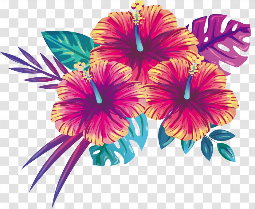 Blooming Summer Flowers - Seed Plant - Malvales Transparent PNG