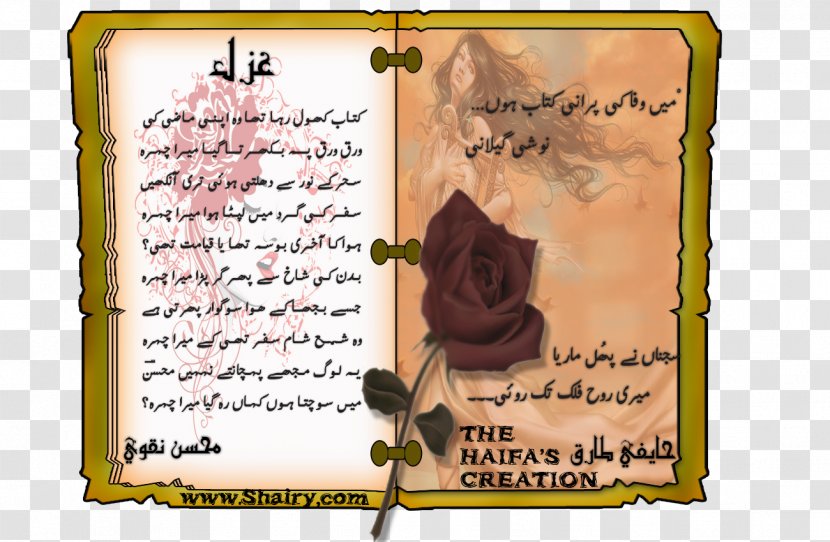 Urdu Poetry Presentation - Haifa - Good Morning In Transparent PNG
