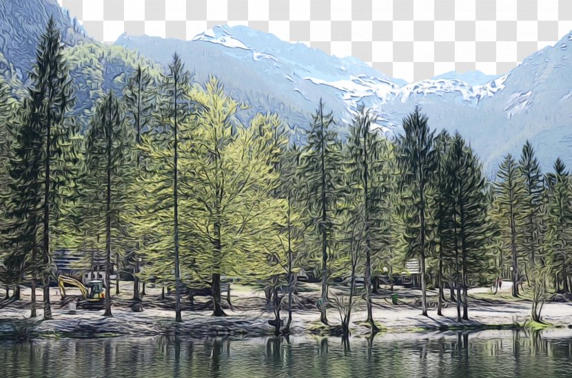 Natural Landscape Nature Tree Wilderness Environment - Watercolor - Water Mountainous Landforms Transparent PNG
