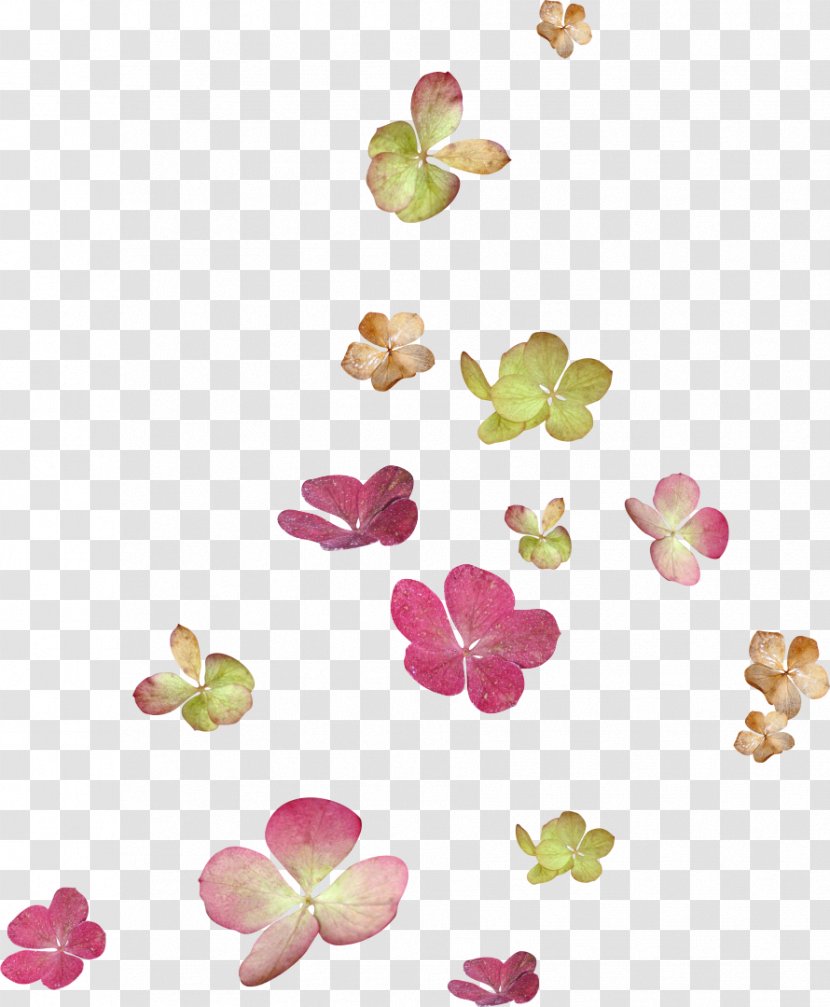 Flower Petal Clip Art - Pink - Floating Transparent PNG