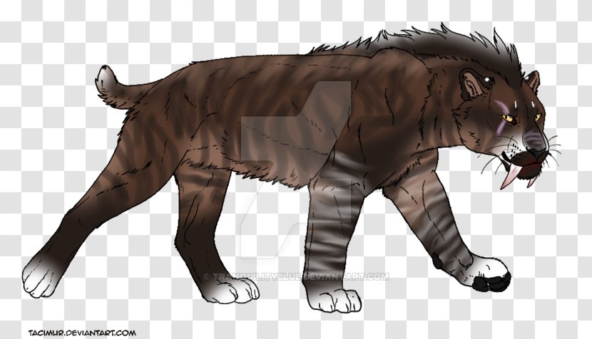 Tiger Lion Sabretooth Felidae Saber-toothed Cat - Heart - Sabertoothed Transparent PNG