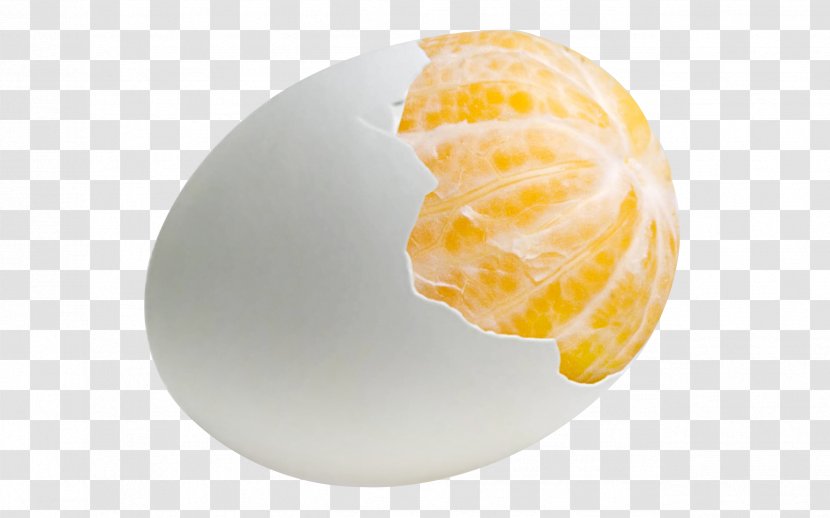 Chicken Egg Of Columbus Wallpaper - Orange - Eggs Oranges Transparent PNG