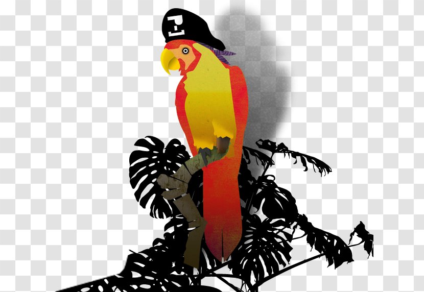 Looting Piracy Bird Parrot Toucan - Fauna - Pirate Transparent PNG
