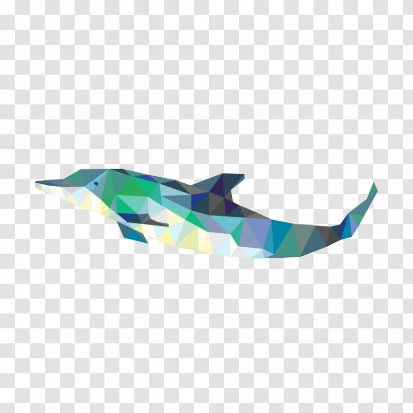 Euclidean Vector Dolphin Geometry Mammal - Whale - Creative Transparent PNG