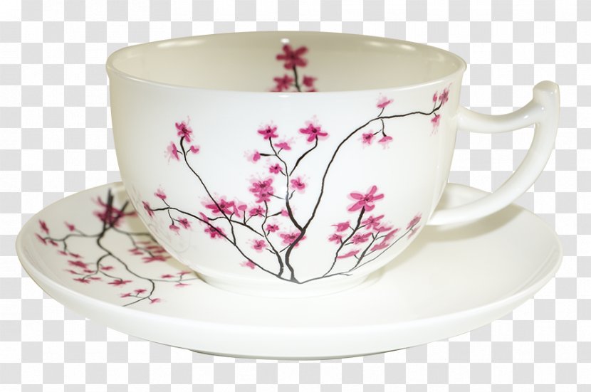 Coffee Cup Teacup Porcelain - Saucer - Tea Transparent PNG