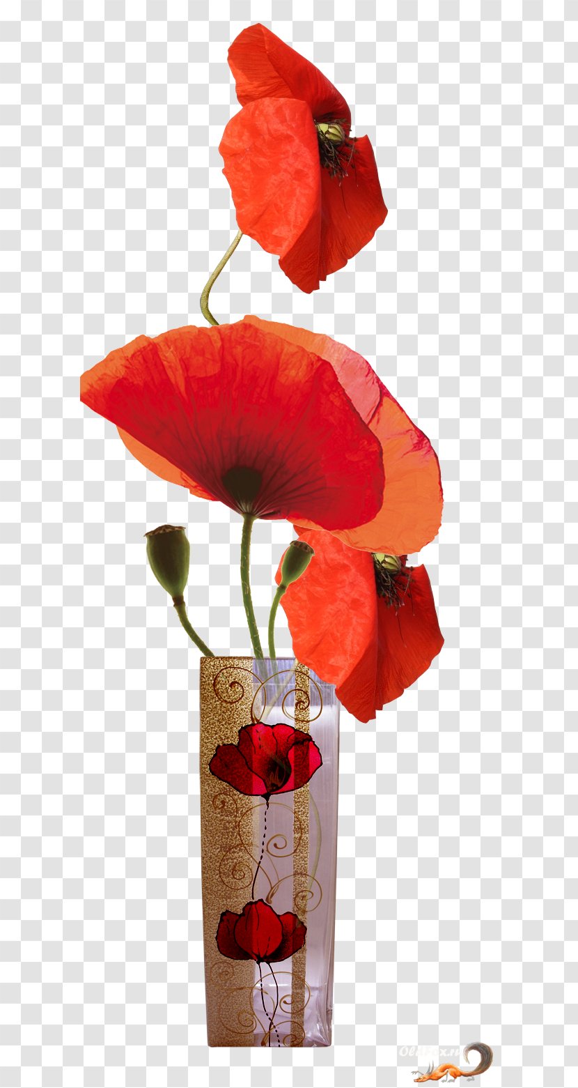Flower Clip Art - Petal - Vase Transparent PNG