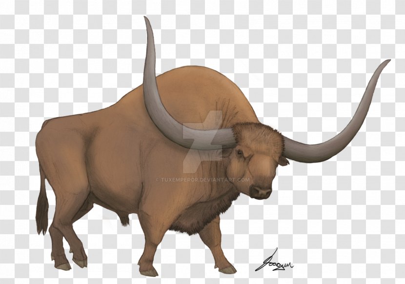 Bison Latifrons Cattle American Horn Animal Transparent PNG
