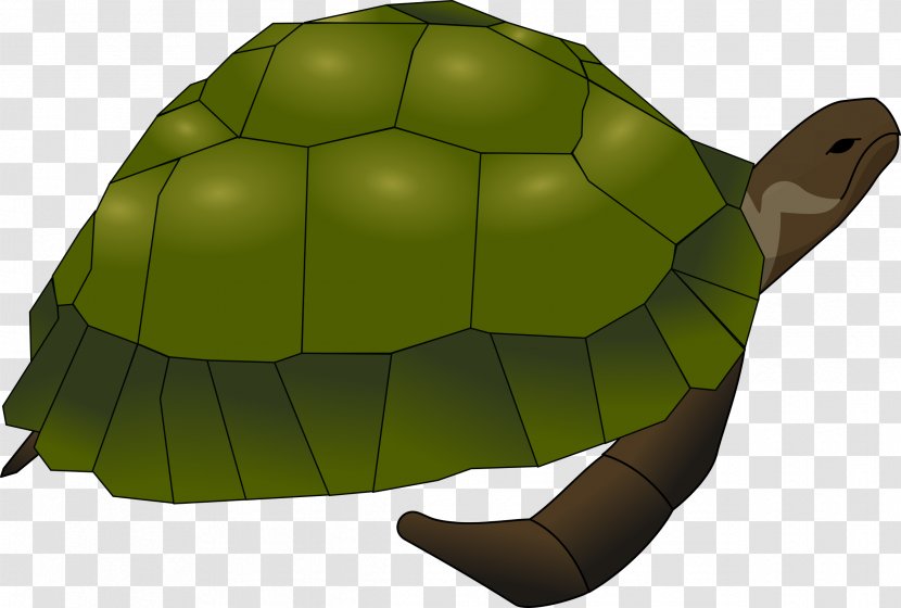 Sea Turtle Clip Art - Alligator Snapping Transparent PNG