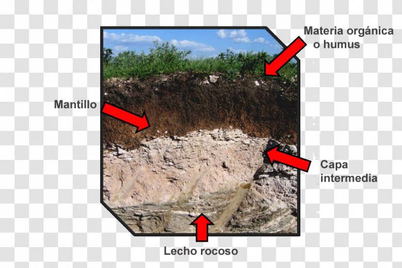 Soil Erosion Fertility Science Edaphology - Natural Resource - Environment Transparent PNG