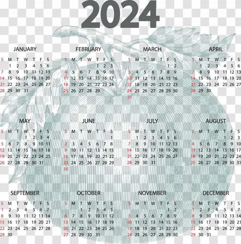 January Calendar! Calendar 2023 New Year May Calendar Names Of The Days Of The Week Transparent PNG