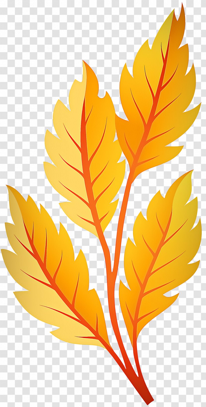 Red Maple Tree - Plant - Flower Plane Transparent PNG
