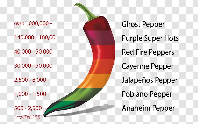 Chili Pepper Jalapeño Bell Cayenne Scoville Unit - Superfood - Watercolor Transparent PNG