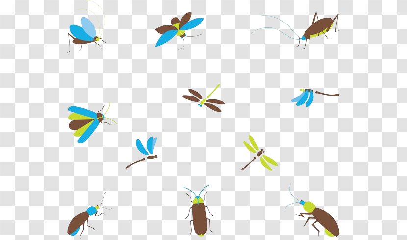Cockroach Insect - Dragonflies And Cockroaches Transparent PNG