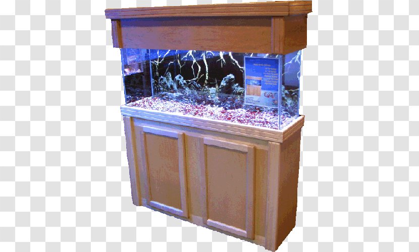 Aquarium Lighting Cabinetry Elmer's & Pet Center Tropical Fish - Gallon - Tank Transparent PNG