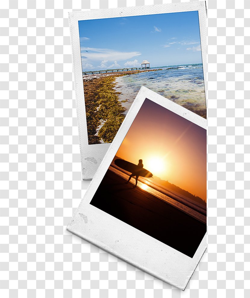 Computer Monitors Photographic Paper Flat Panel Display - Art - Wood Transparent PNG