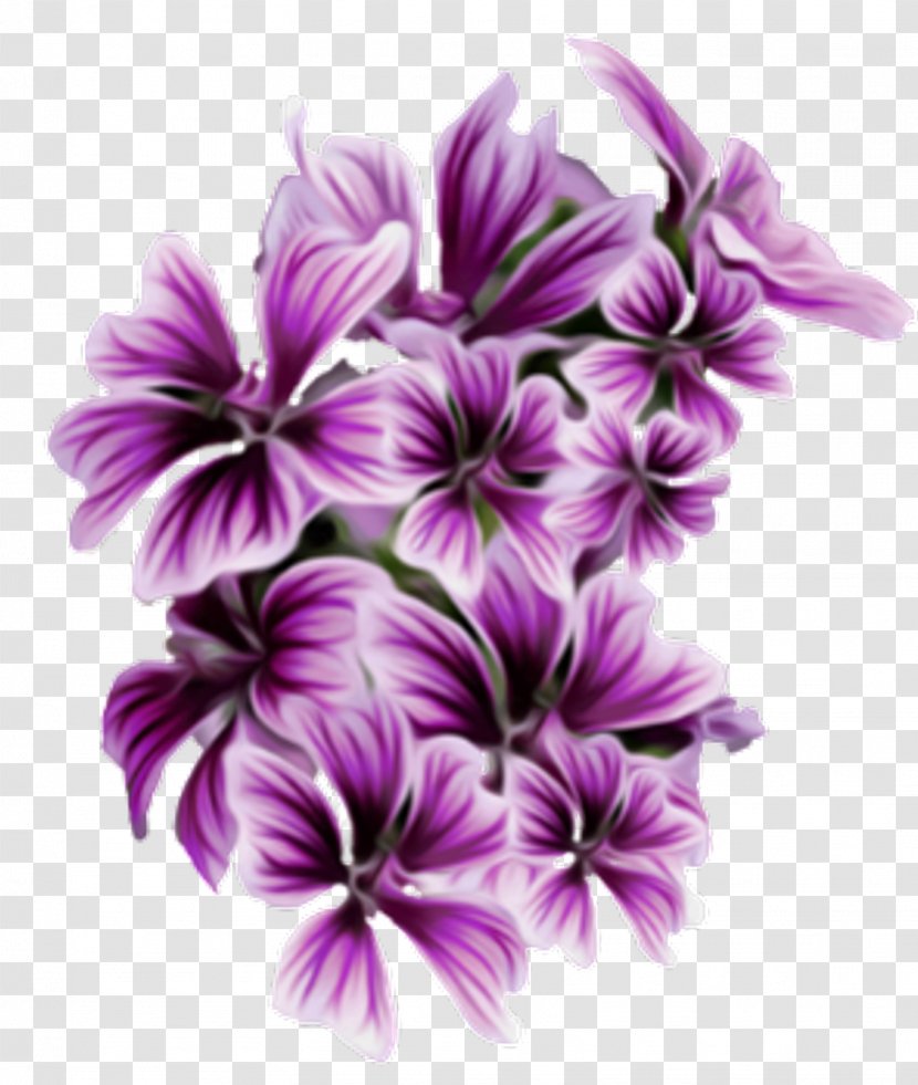 Wedding Flowers Clip Art Image - Dendrobium - Purple Transparent Plant Transparent PNG