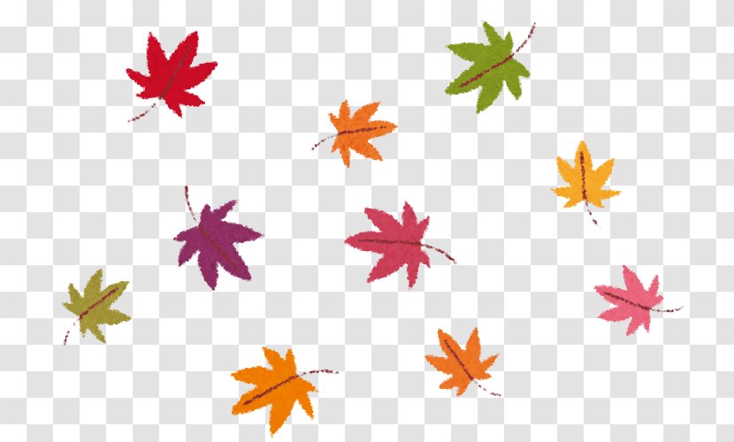 Autumn Leaf Color Naruko Dam 日本紅葉の名所100選 - Petal - Coming Of Age Day Transparent PNG
