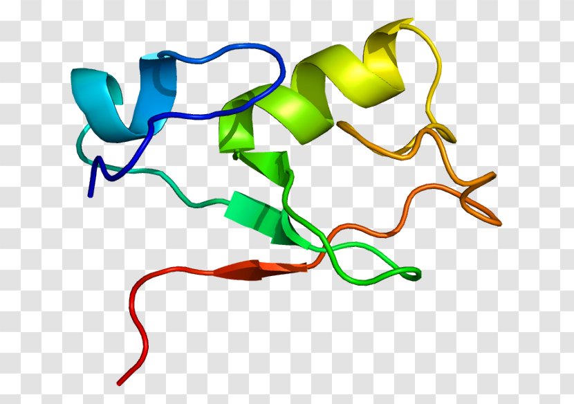 MNAT1 Gene Protein Mdm2 Cyclin-dependent Kinase - Heart - Watercolor Transparent PNG