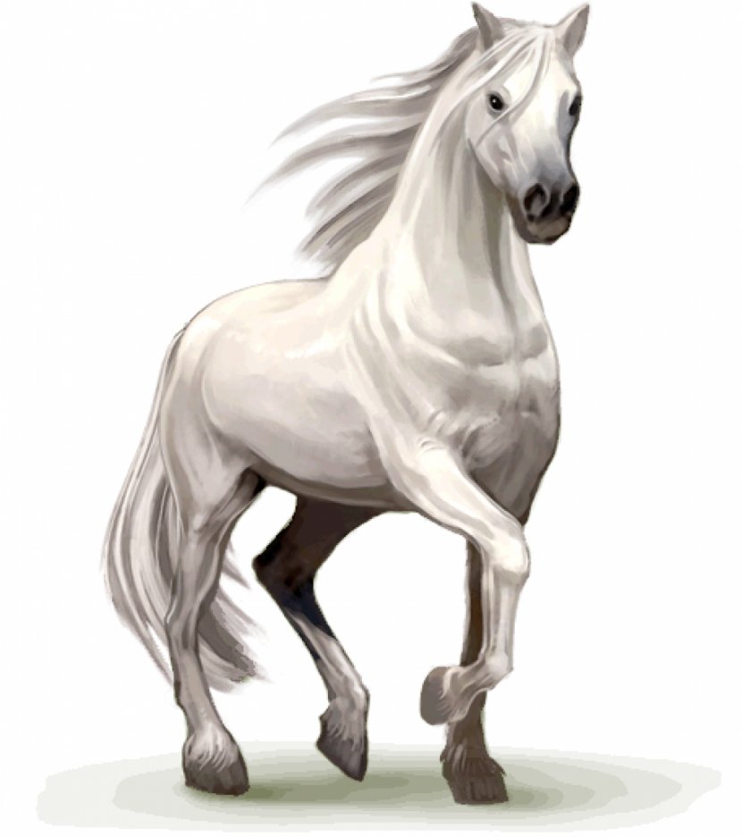 Howrse Horse Stallion Desktop Wallpaper - Android Transparent PNG