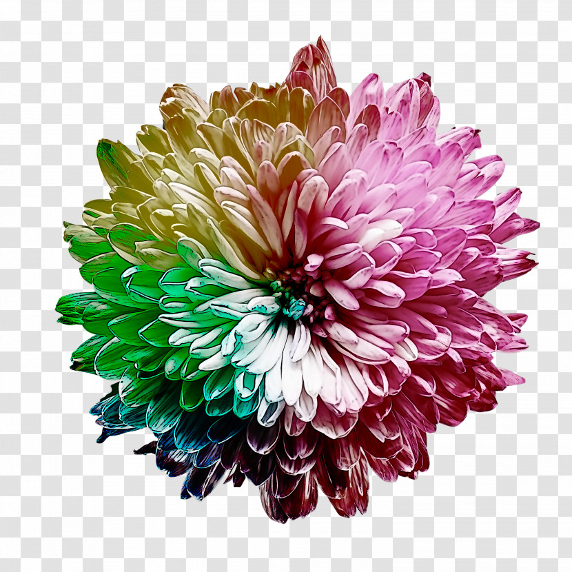 Artificial Flower Transparent PNG