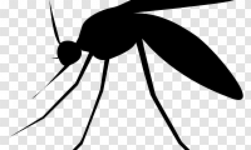 Mosquito Insect Pollinator Pest Control Clip Art - Invertebrate Transparent PNG