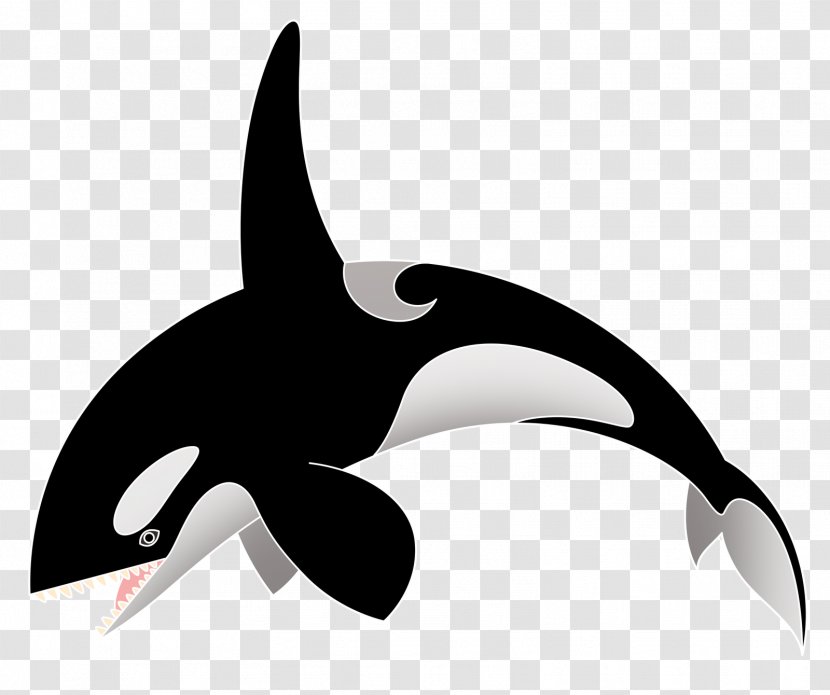 Killer Whale Cluburlaub Clubkino Siegmar Aldiana Octopus - Fauna Transparent PNG