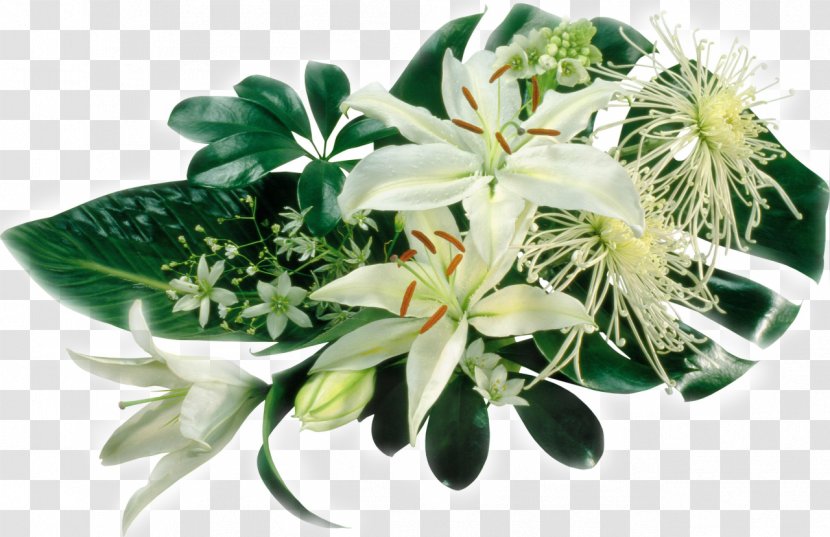 Bouquet Of Lilies Clock Flower Lilium Polyphyllum Wedding - Floristry - Lily Transparent PNG