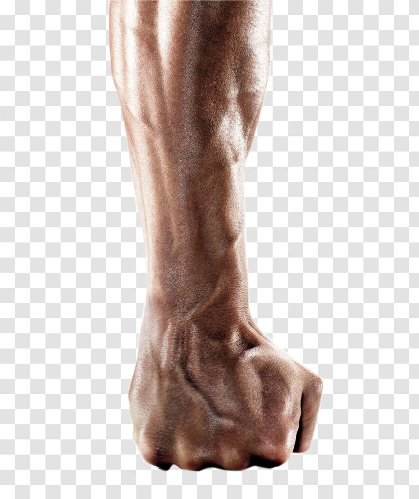 Arm Fist - Flower Transparent PNG