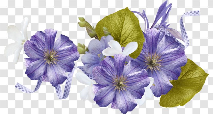 Violet Flower Art - Cut Flowers - Unblog Transparent PNG
