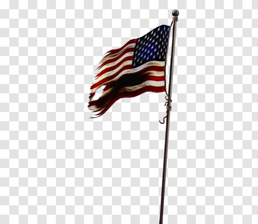 Flag Of The United States Image U.S. State - Day Usa - Veterans Transparent PNG