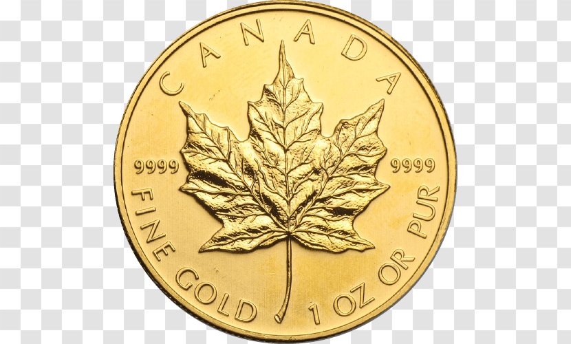 Canada Canadian Gold Maple Leaf Coin - Currency Transparent PNG